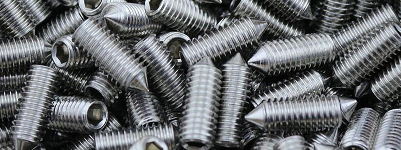 Stainless Steel Grub Screw Manufacturer in India