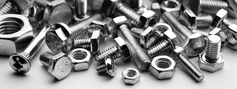 Stainless Steel Nut Bolt Manufacturer in India